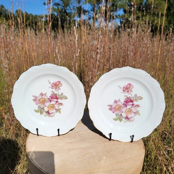 2 Schumann Arzberg Briar Rose Dinner Plates Gold Trim Bavaria Germany 1950s - Picture 3 of 9